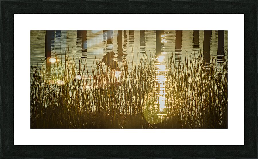 FS241022 HERON Picture Frame print