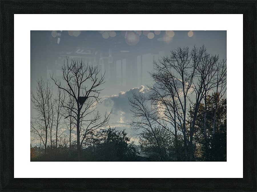 20241022 350 Edit Picture Frame print
