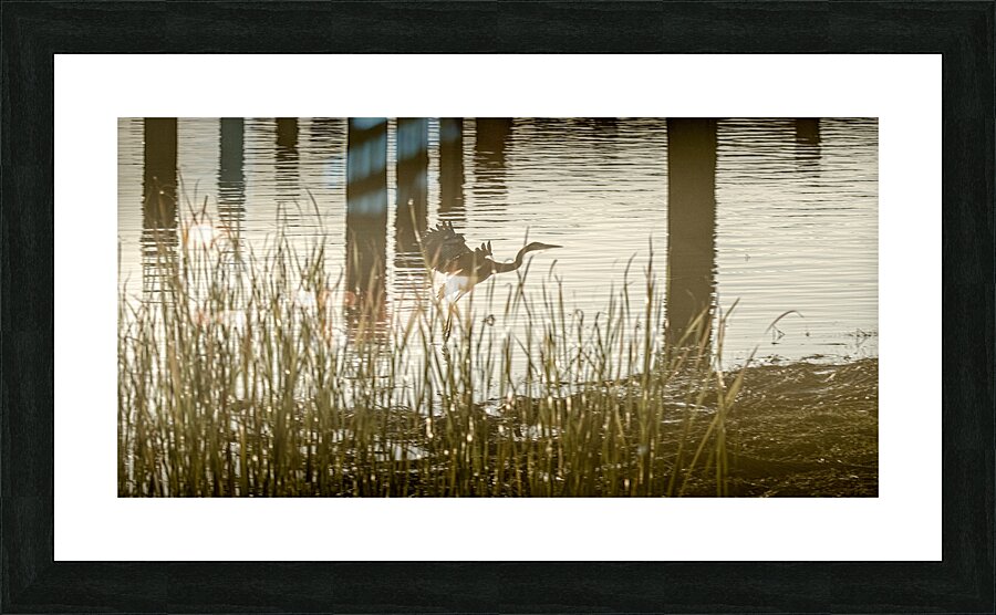 fs241022 HERON Picture Frame print