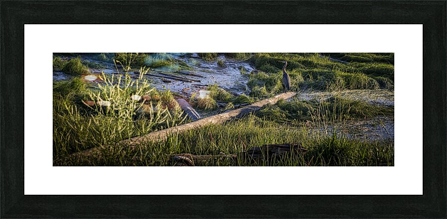 FS240703 Heron Picture Frame print