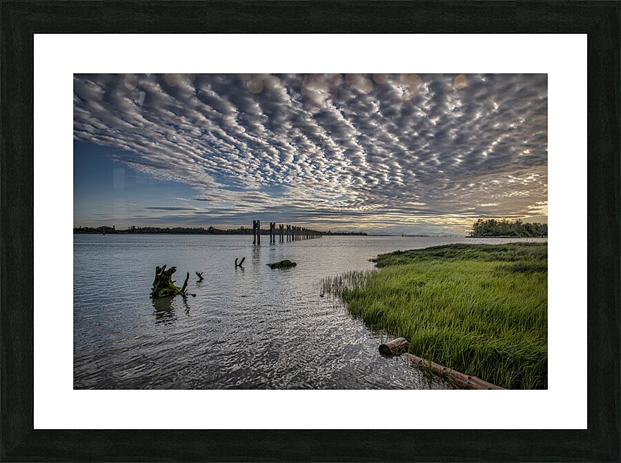 FS240630 Picture Frame print
