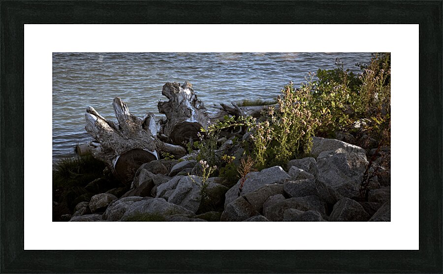FS240725 Picture Frame print