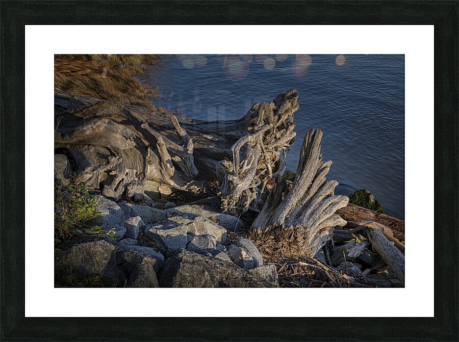 20241024  83 Edit Picture Frame print
