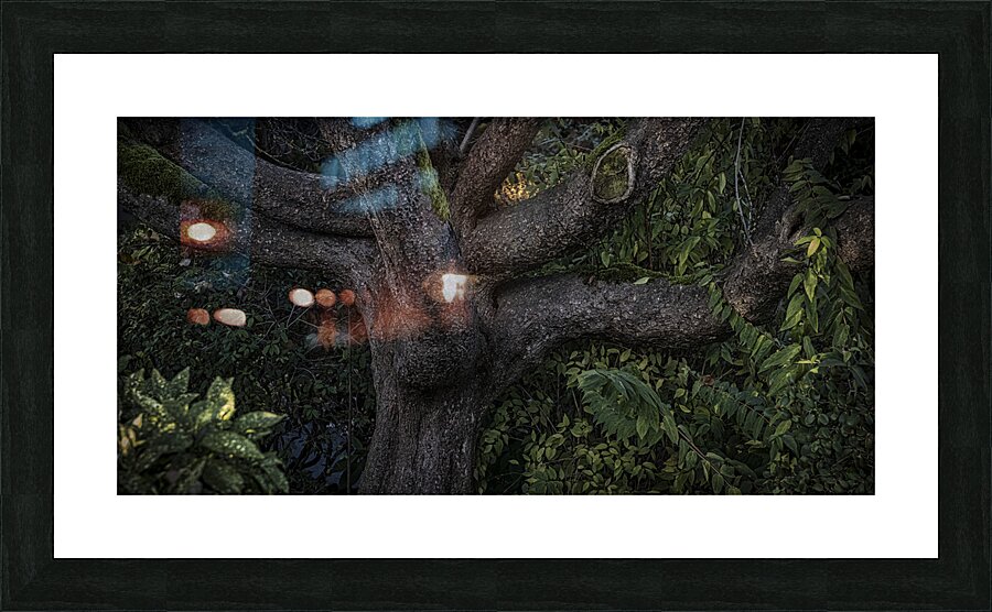 FS241203 THE TREE Picture Frame print