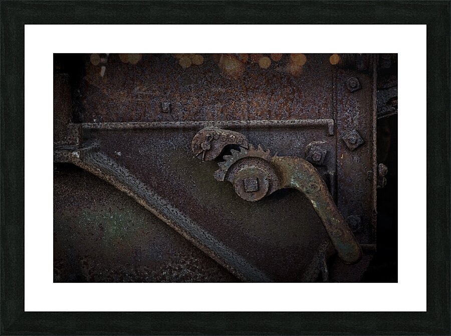FS241115 RUST ART Picture Frame print