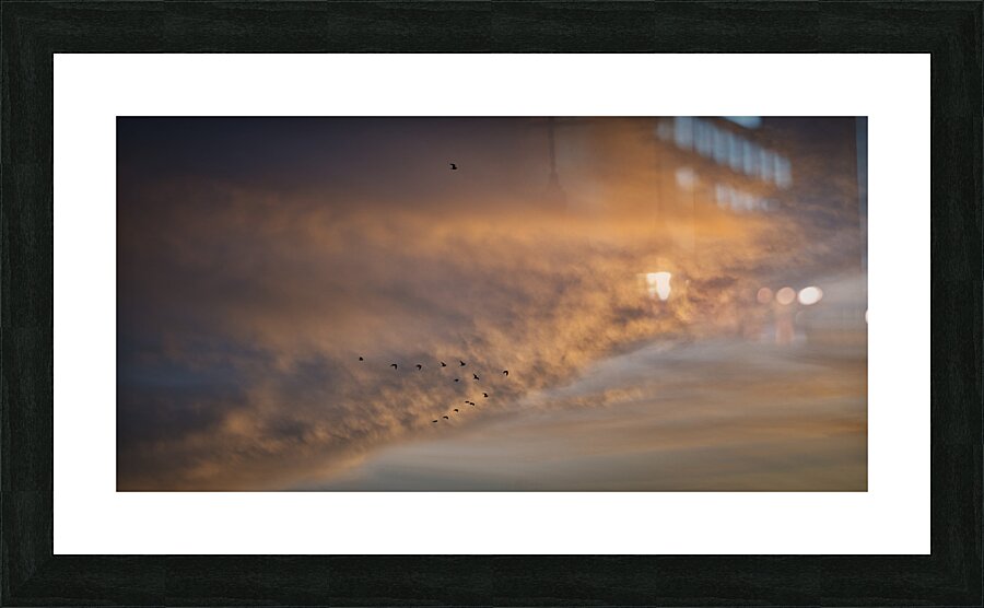 FS241127 GEESE Picture Frame print