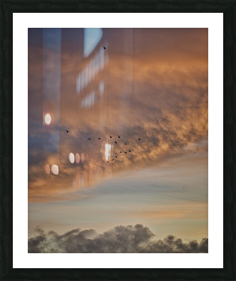 FS241127 FLYING HIGH Picture Frame print