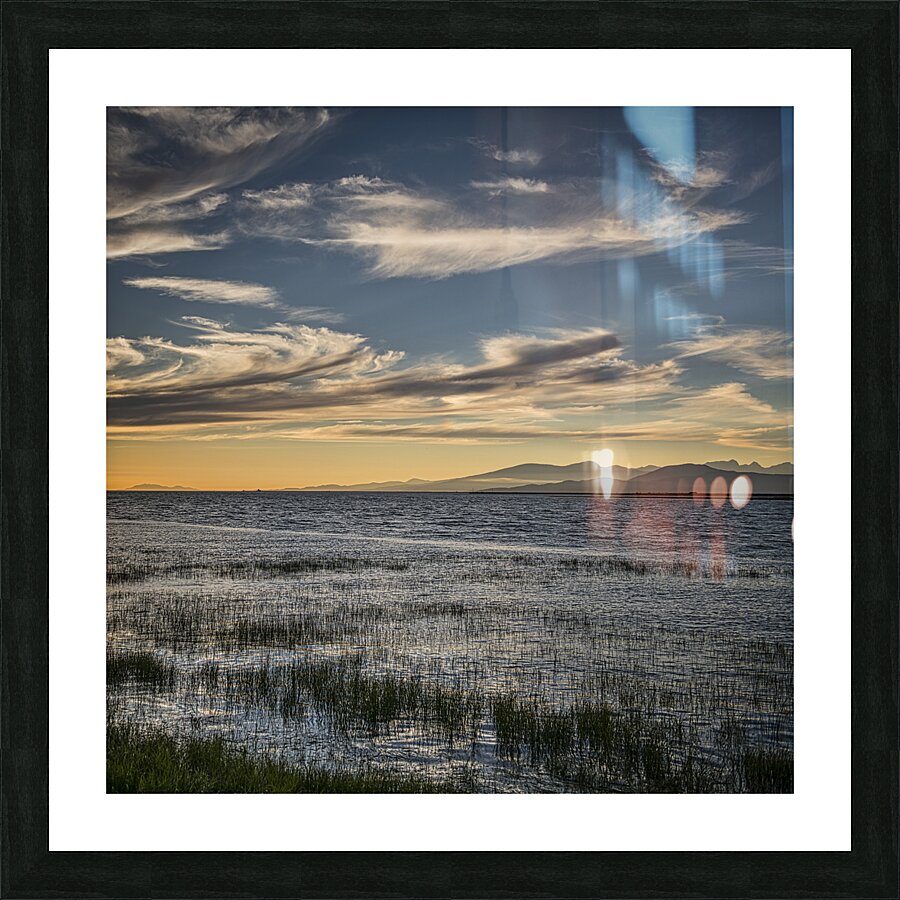 FS240801 TERRA NOVA Picture Frame print