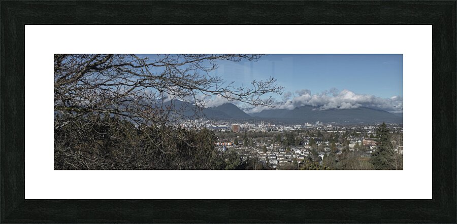 FS240212 QE Picture Frame print