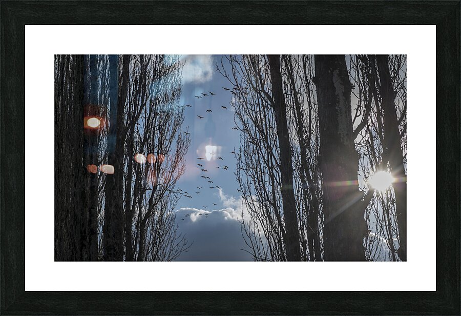 20240207 309 Edit Picture Frame print