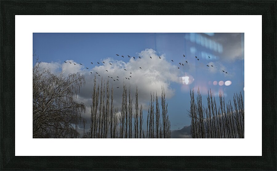 FS240207 Picture Frame print