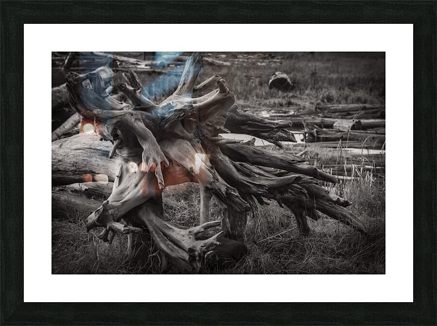 FS241227 roots Picture Frame print