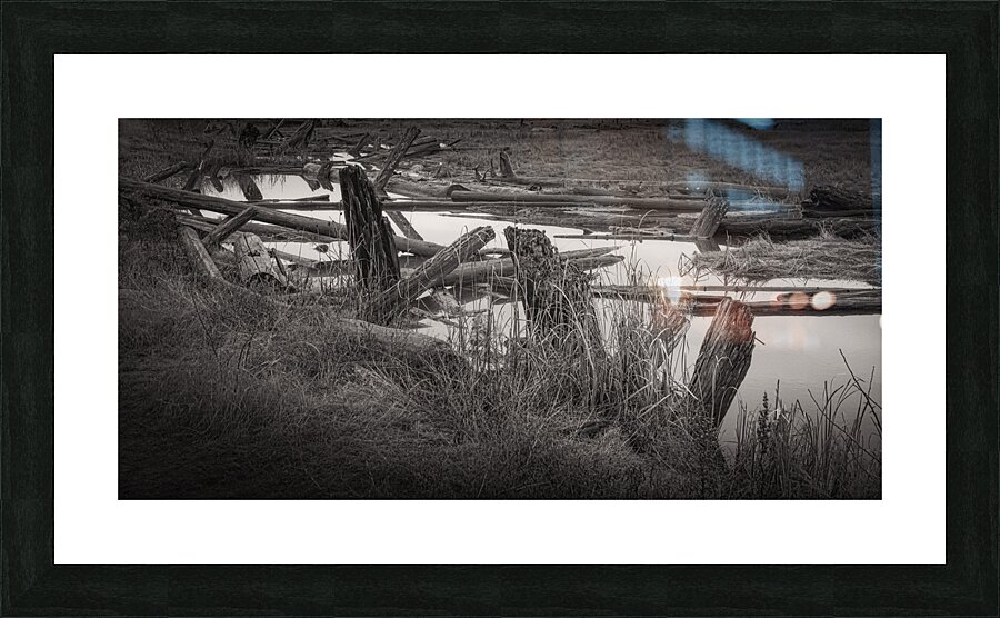 FS241227 06 Picture Frame print
