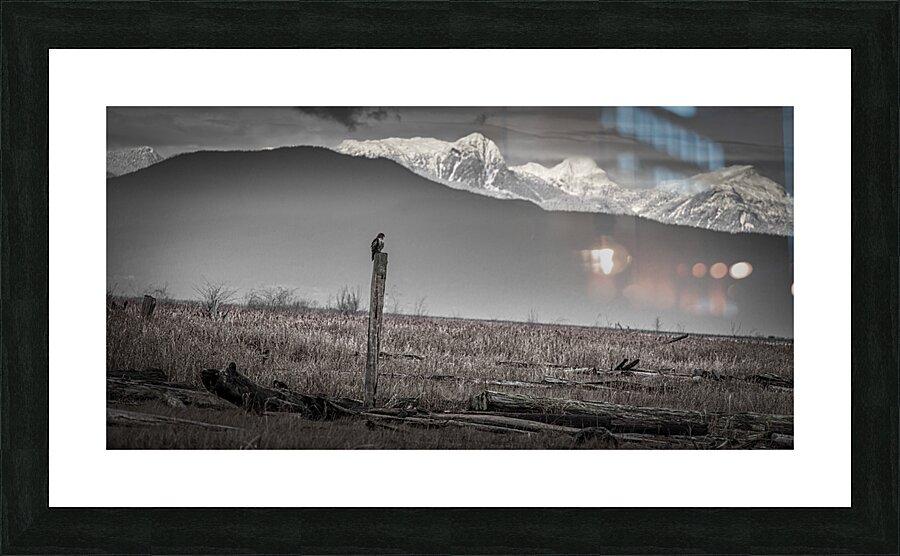 FS241227FN Picture Frame print