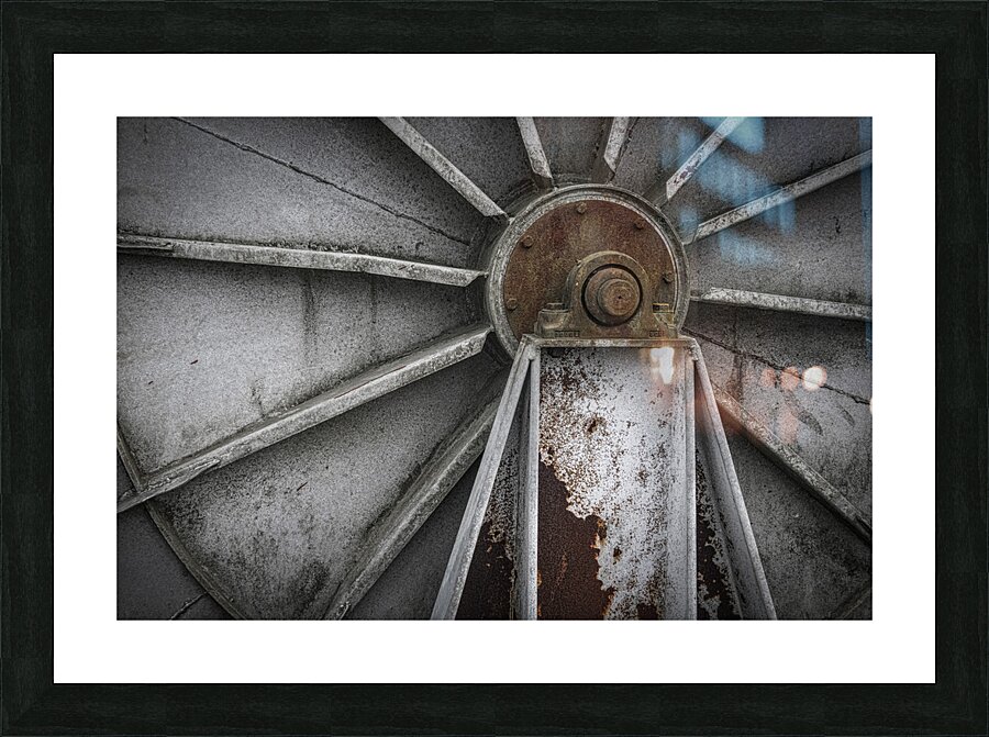 FS241207 RUST NUTS Picture Frame print