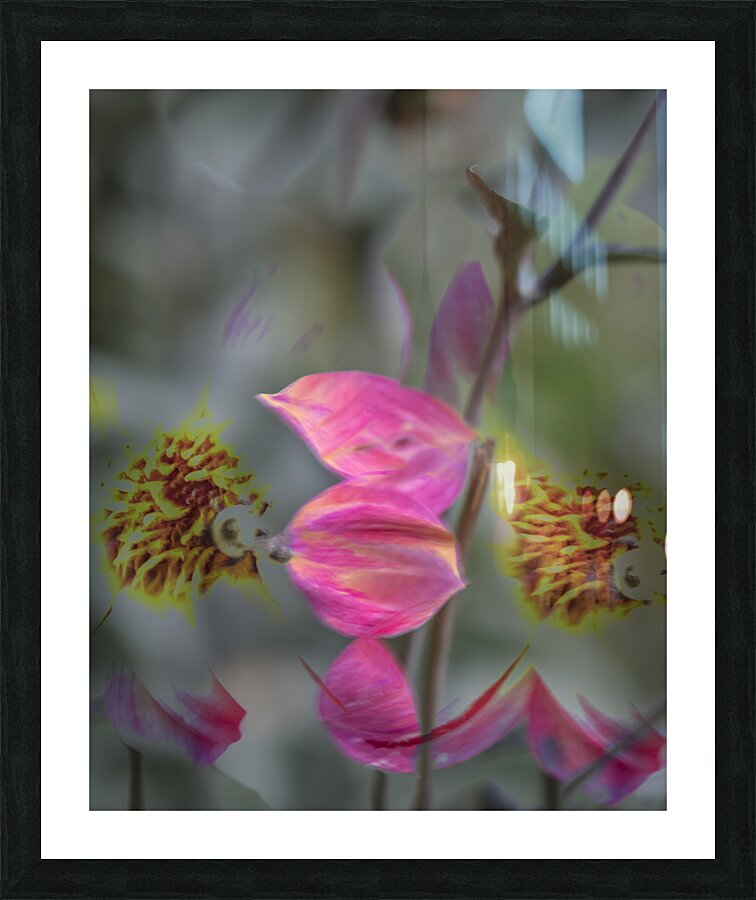 20240901 116 Picture Frame print