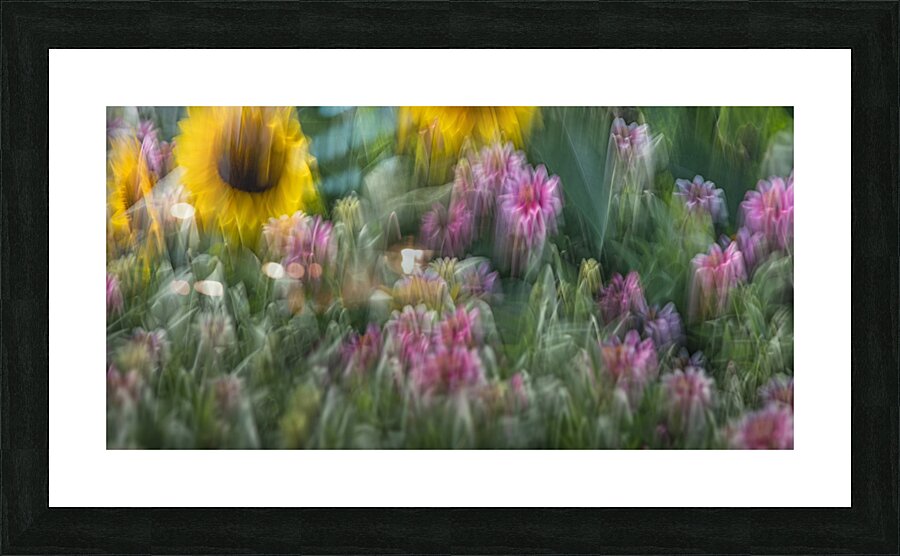 FS240902 156 Picture Frame print
