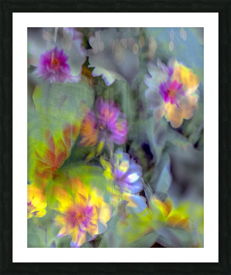 FS240831 71 Picture Frame print