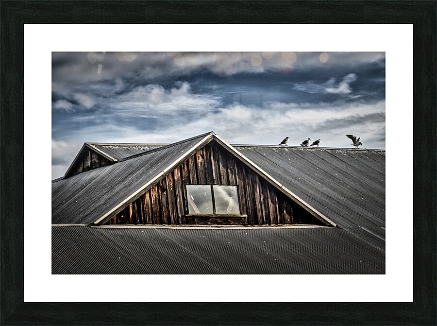 FS240223 ROOF Picture Frame print