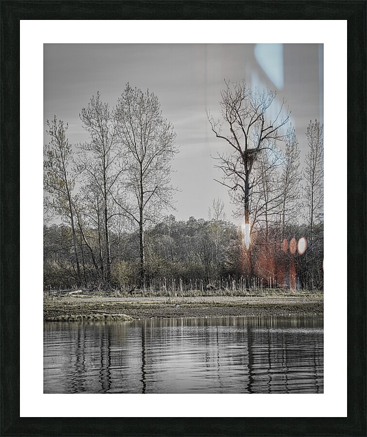 FS240405 EAGLE NEST Picture Frame print