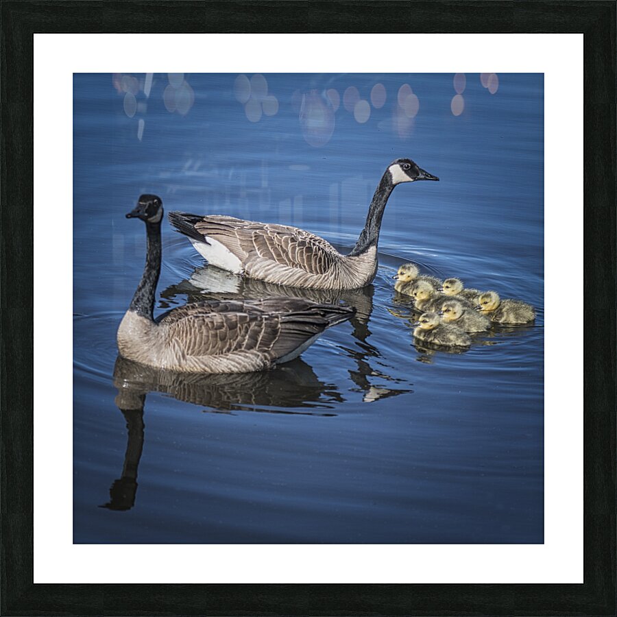 FS240422 TOGETHERNESS Picture Frame print