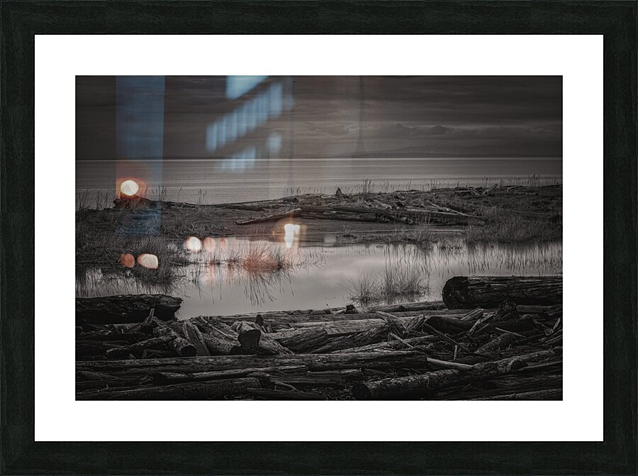 FS250101BW2 Picture Frame print