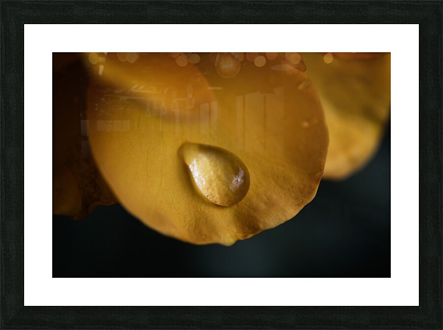 FS240818CN4 Picture Frame print