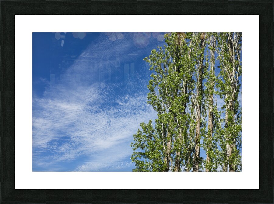 20240613 113 Edit Picture Frame print