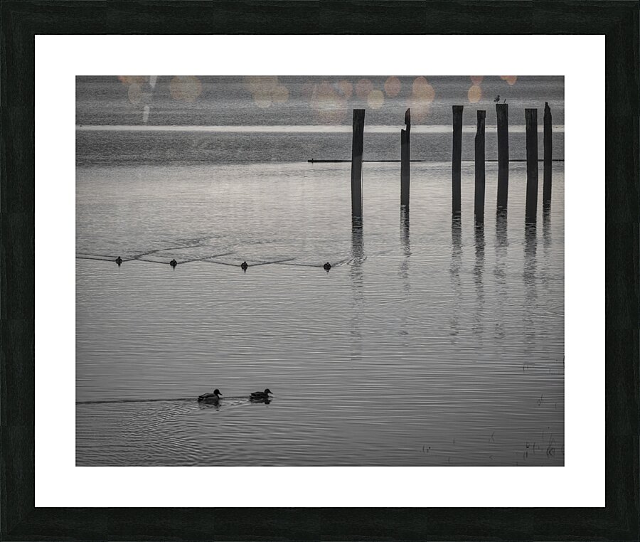 FS250105 HARMONY Picture Frame print