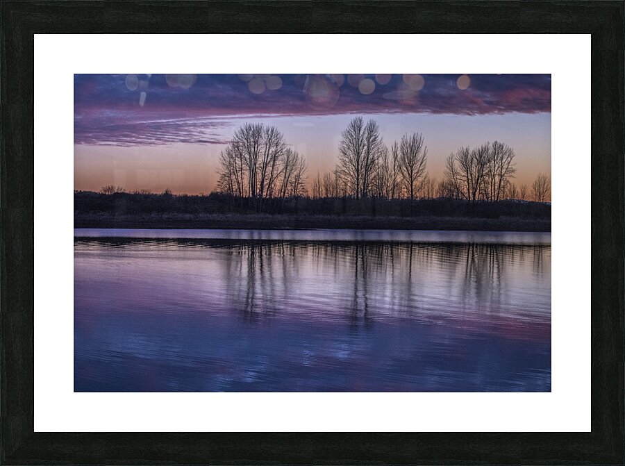 FS250118 06 Picture Frame print