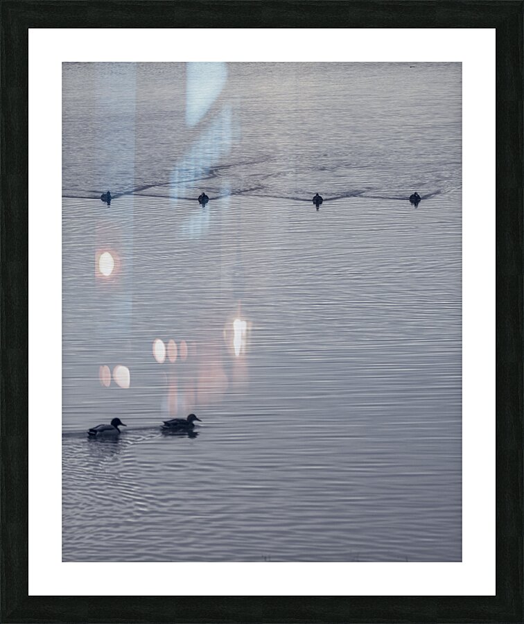 FS250105 CG8 Picture Frame print