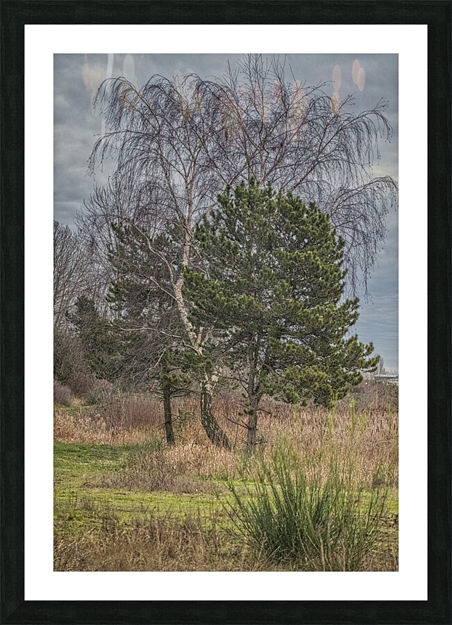 FS250101 GREEN LIFE Picture Frame print