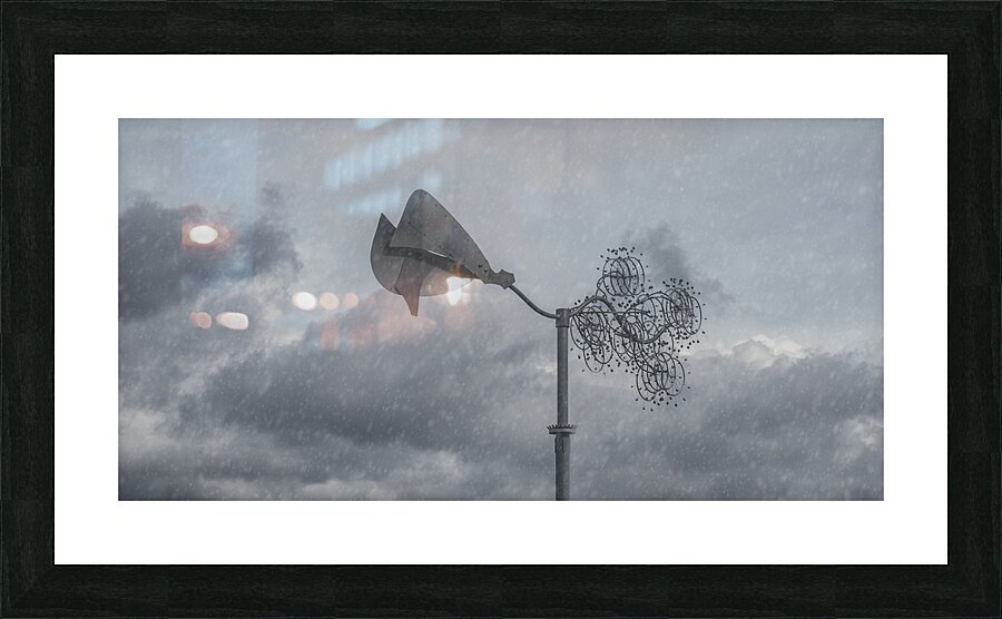 FS240229 RAINFALL Picture Frame print