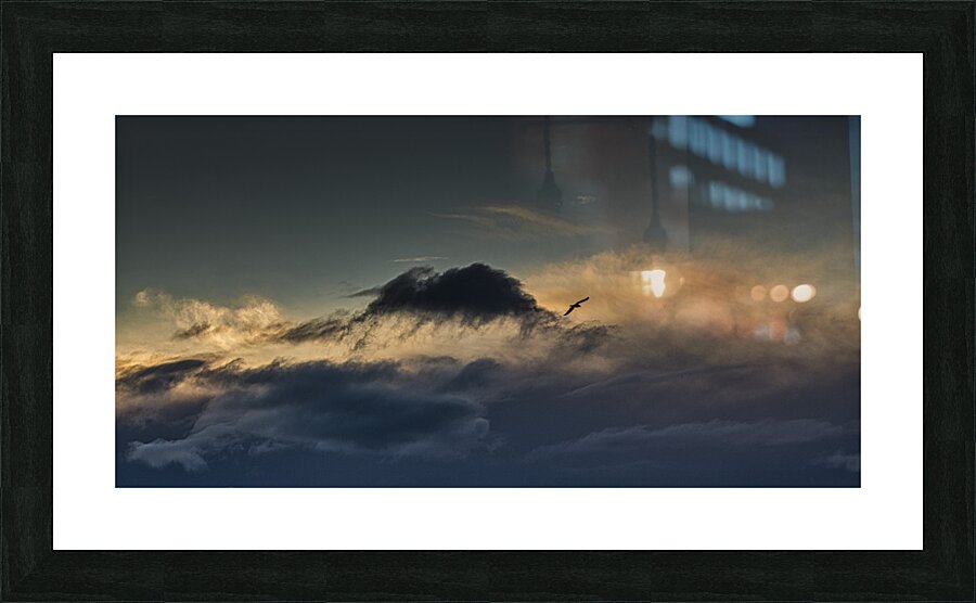 FS250201 FREE AS THE WIND Picture Frame print