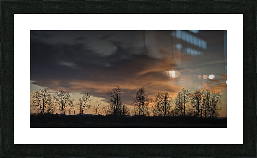 FS250125DW Picture Frame print