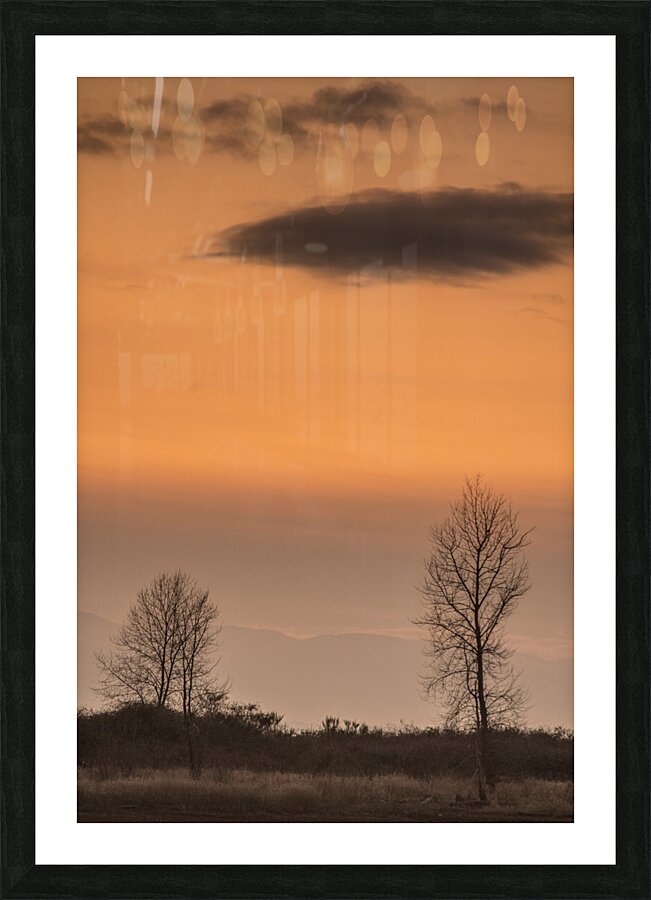 20250121 07 154 Picture Frame print