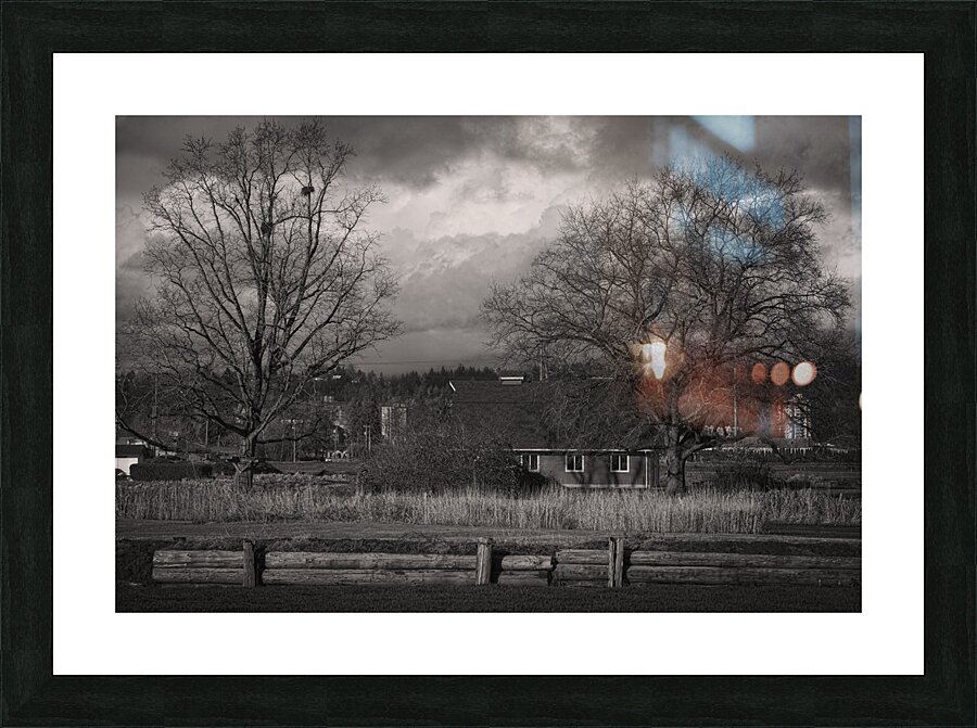 20250201 B21 Picture Frame print