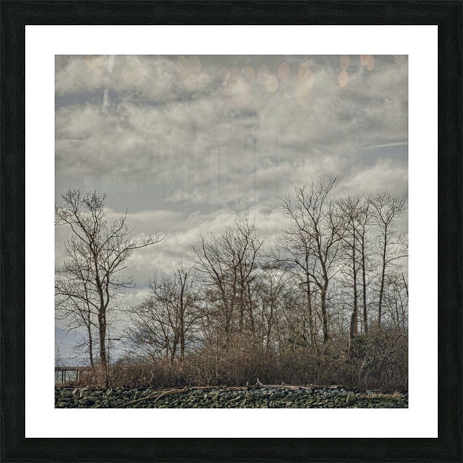 FS250201S TREES Picture Frame print
