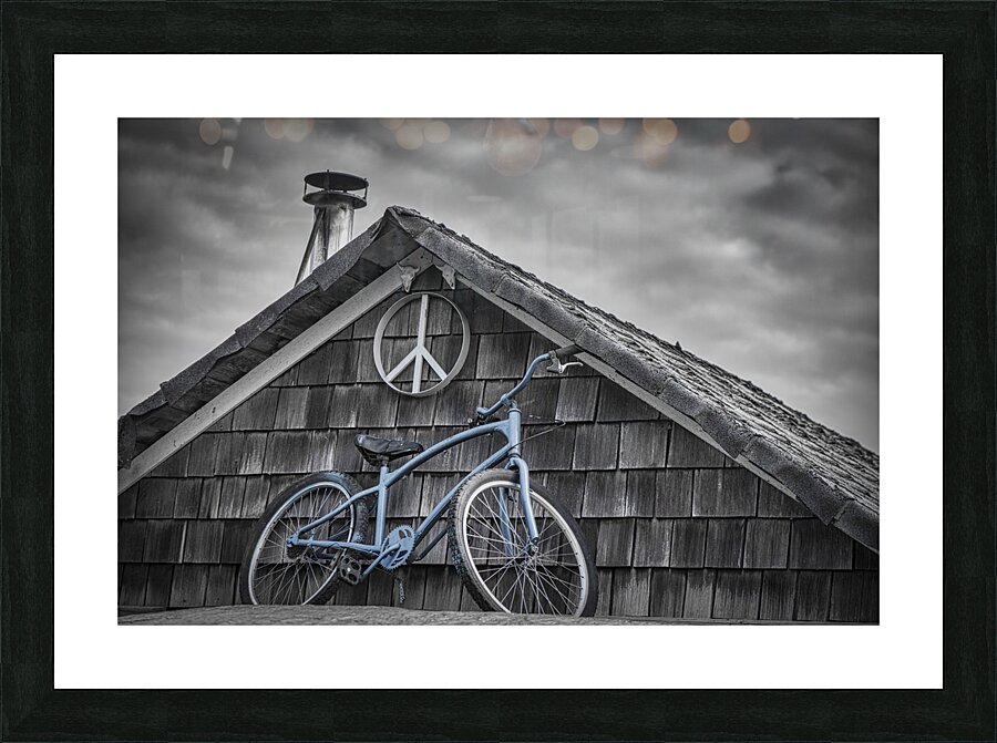 FS240214 BLUE BIKE ON ROOF Picture Frame print