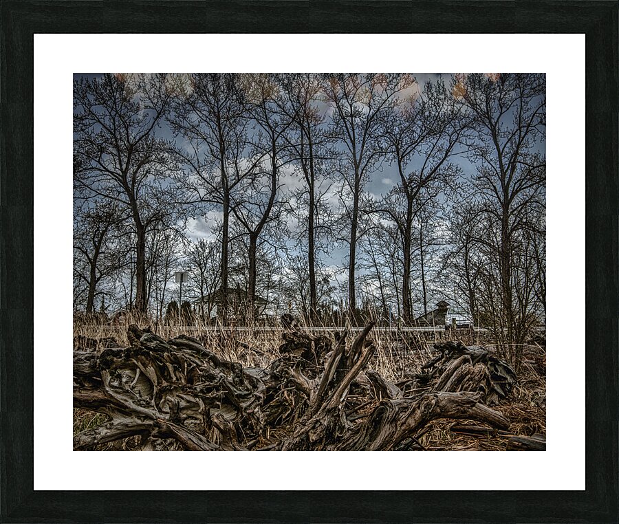 FS120331 DRIFTWOOD Picture Frame print