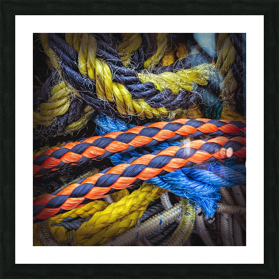 FS120331 ROPES Picture Frame print