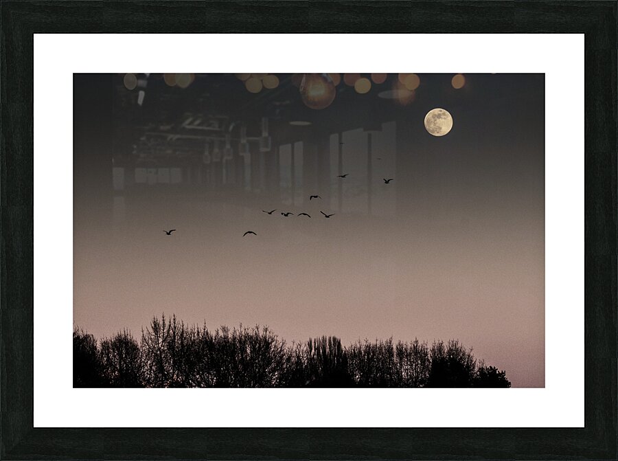 FS250211 MOONRISE Picture Frame print
