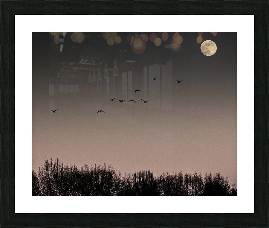 FS250211 MOONRISE 810 Picture Frame print