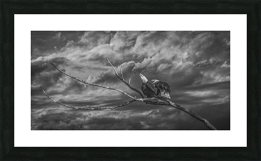 20250211 B20 Picture Frame print