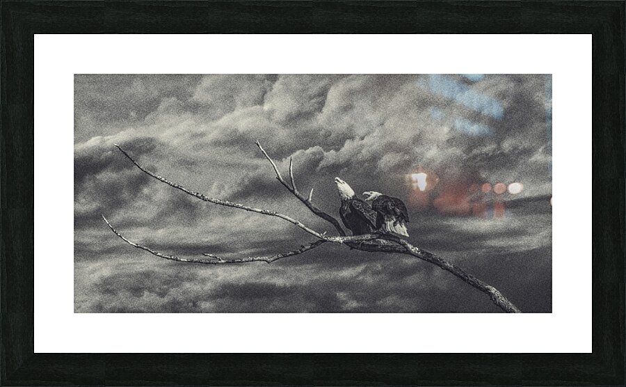 20250211 11 Edit Picture Frame print