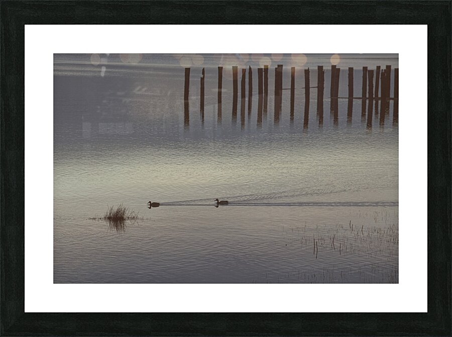 FS250225CG20 Picture Frame print