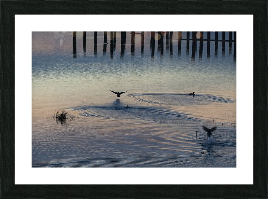 FS250225HDR2 Picture Frame print