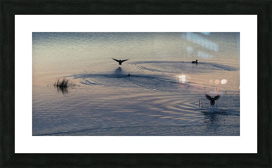 FS250225HDR3 Picture Frame print