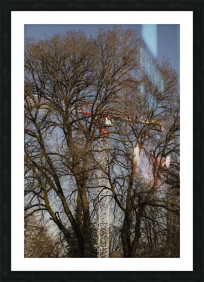 FOREST TRANSFORM TO BUILDINGS Picture Frame print