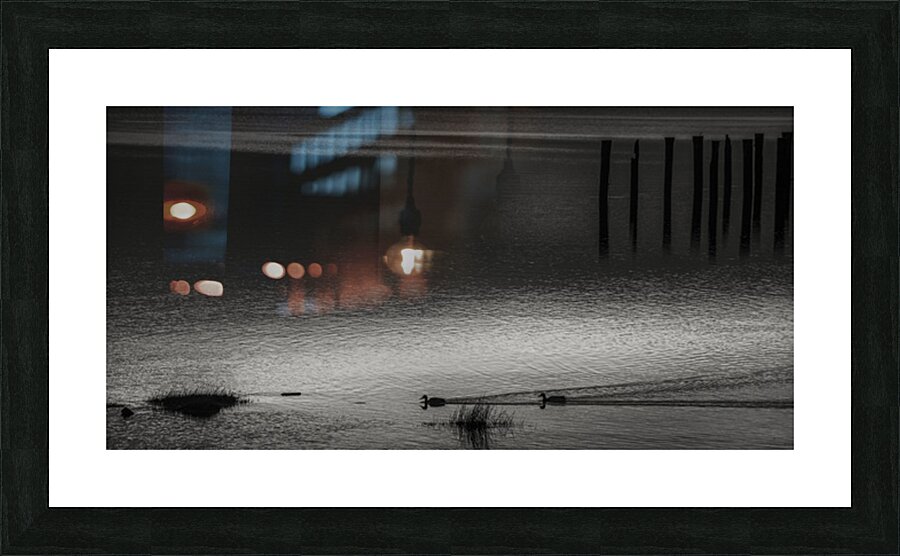 FS250225BW2 TWO DUCKS Picture Frame print